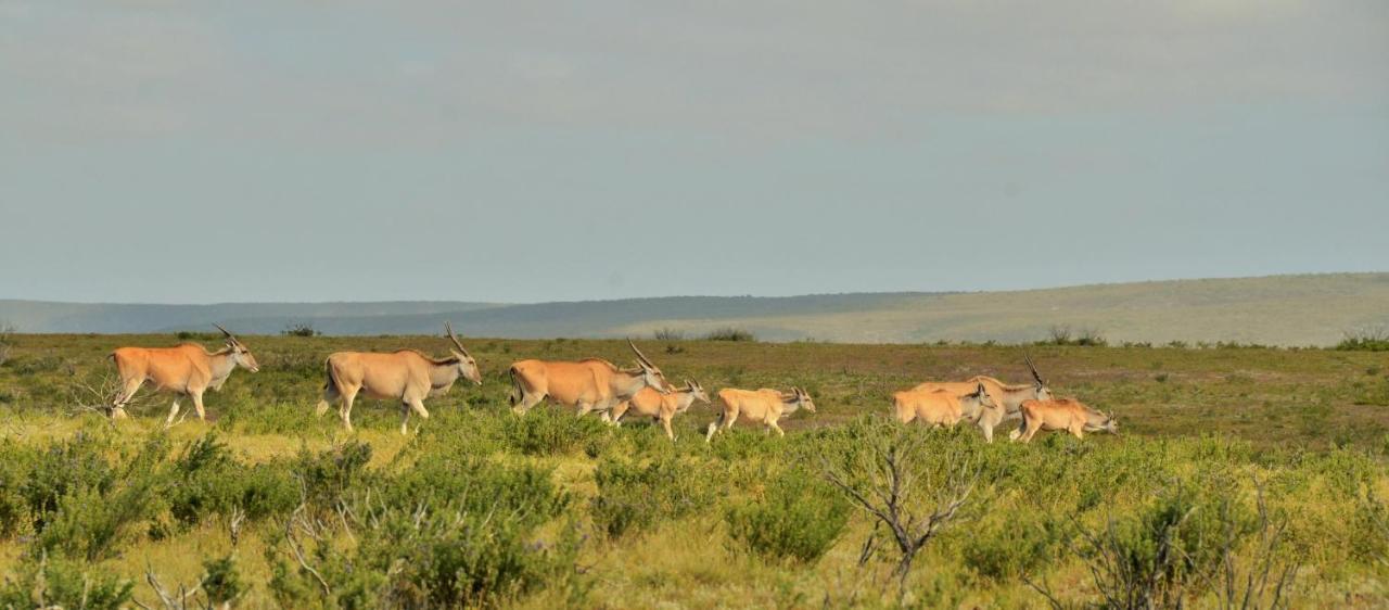 De Hoop Collection - Equipped Cottages De Hoop Nature Reserve Luaran gambar