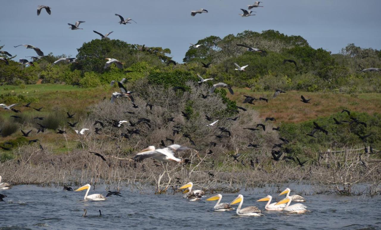 De Hoop Collection - Equipped Cottages De Hoop Nature Reserve Luaran gambar
