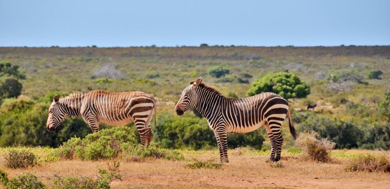 De Hoop Collection - Equipped Cottages De Hoop Nature Reserve Luaran gambar